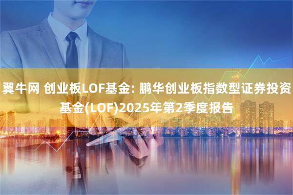 翼牛网 创业板LOF基金: 鹏华创业板指数型证券投资基金(LOF)2025年第2季度报告