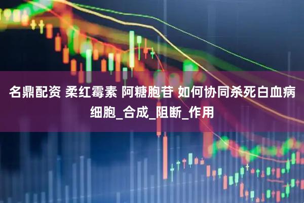 名鼎配资 柔红霉素 阿糖胞苷 如何协同杀死白血病细胞_合成_阻断_作用