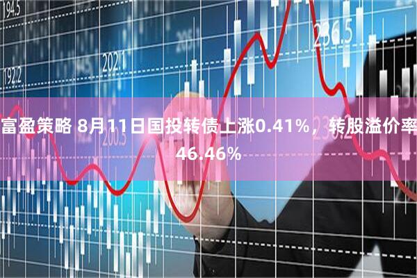 富盈策略 8月11日国投转债上涨0.41%，转股溢价率46.46%